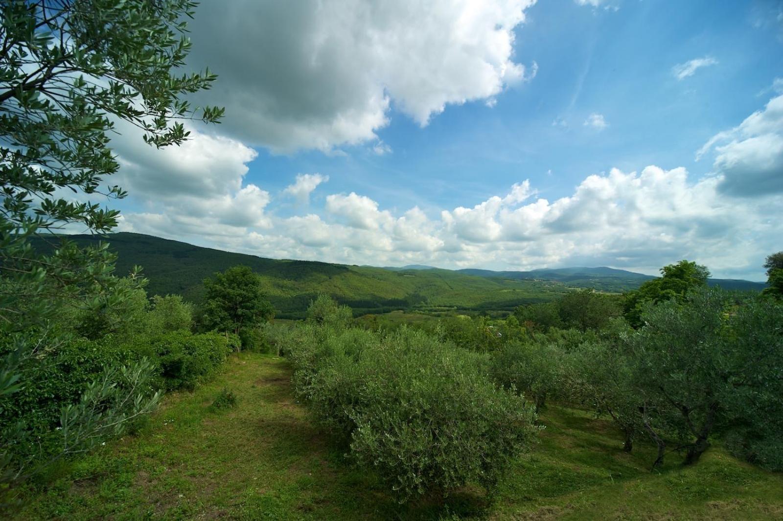 Hotel Girifalco - Nature & Relax Massa Marittima Kültér fotó
